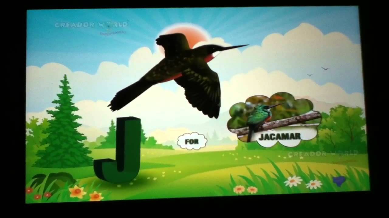 Z bird машина