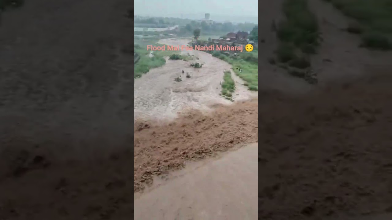 Nadi Mai Fas Gya Nandi Maharaj 🙏😔🙏 