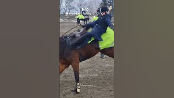 Rating my fails for ✨️fun✨️ #horse #equestrian #ponyedit #blowup #riding #ponylover #pony #1k