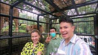NGERI-NGERI SEDEP! FERO NGASIH MAKAN SINGA DI TAMAN SAFARI! | CELEBRITY ON VACATION (13/3/21) P1