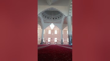 ما تيسر من سورة يس للقارئ أسامة أبو عبدالرحمن 