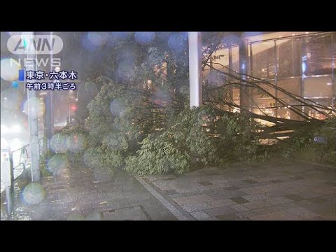 台風15号　千葉市付近に上陸　関東は記録的な暴風(19/09/09)