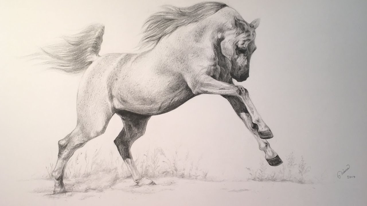 Arabian horse sketch 2014 05 24 a Drawing by Ang El - Fine Art America