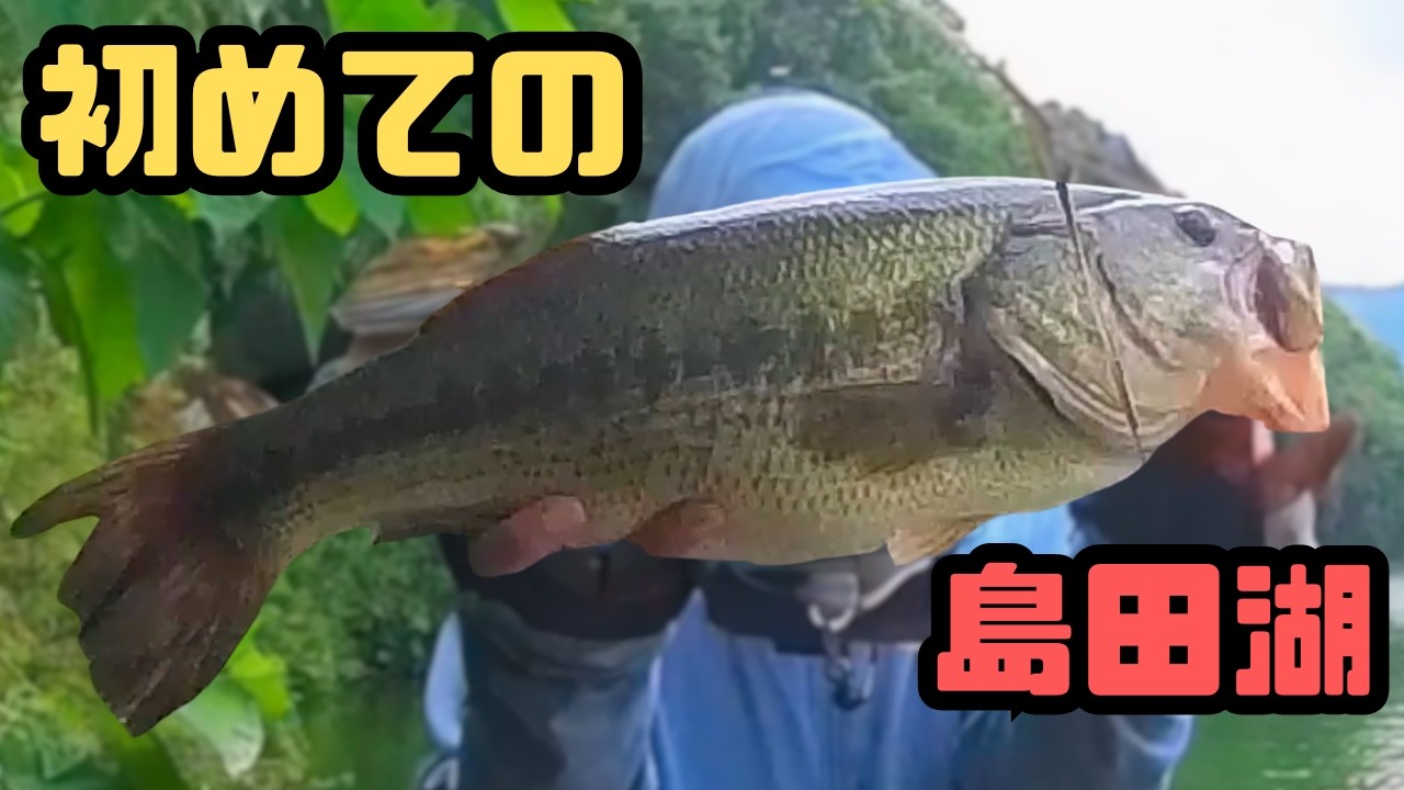 【初場所】視聴者のお願いで超絶激タフハイプレッシャーと噂の島田湖の天才バスを釣ってみた【#電車でバス釣り】