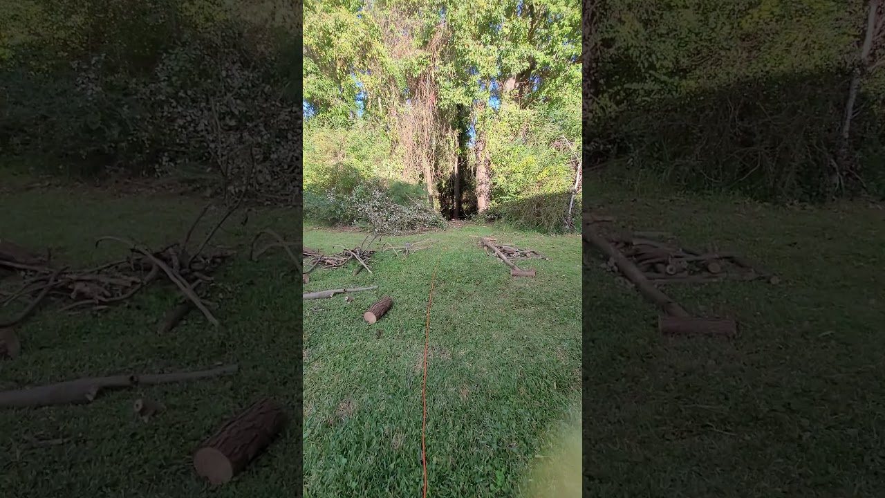 Private backyard hangout with firepit progress(Part 1)