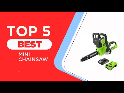 Top 5 Best