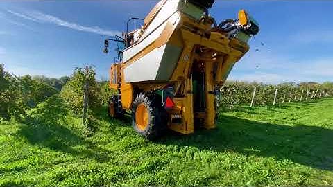 Gregoire Grape Harvester Picking Chardonnay in Niagara-On-The-Lake, Ontario, Canada