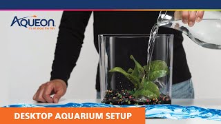 How to Set Up a Desktop Aquarium