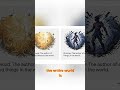 Zend-Avesta: Cosmic Struggle of Good vs. Evil Explained #shorts