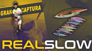 𝐑𝐄𝐀𝐋 𝐒𝐋𝐎𝐖 𝐉𝐋𝐂 modo inchiku