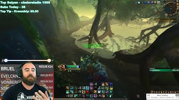 Bajheera - Windwalker Monk vs Elemental Shaman (World PvP) - WoW BFA 8.1.5 Kul Tiran PvP