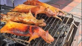 Roasted Cuy Street Food: Why It Is Not Just a Guinea Pig | Baños Ecuador