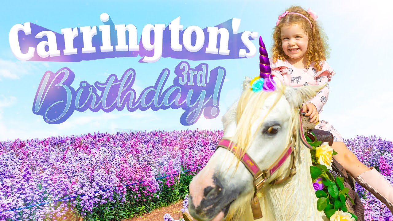 Carrington's 3rd Birthday Party | Spirit Riding Free Themed Birthday Party | Bang Energy Family