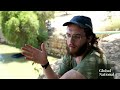 US calls Israeli settlers "terrorists" after Palestinian houses besieged by Jews in West Bank