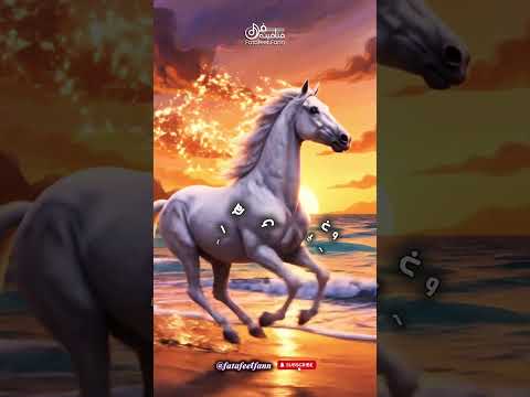 وإسكندرية دي بتفتح حضنها قبل شط ها وتخليك تحس إنك راجع لحد مستنيك من زمان