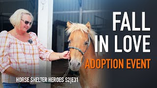 Horse Shelter Heroes | S2E31 | Adoption Event