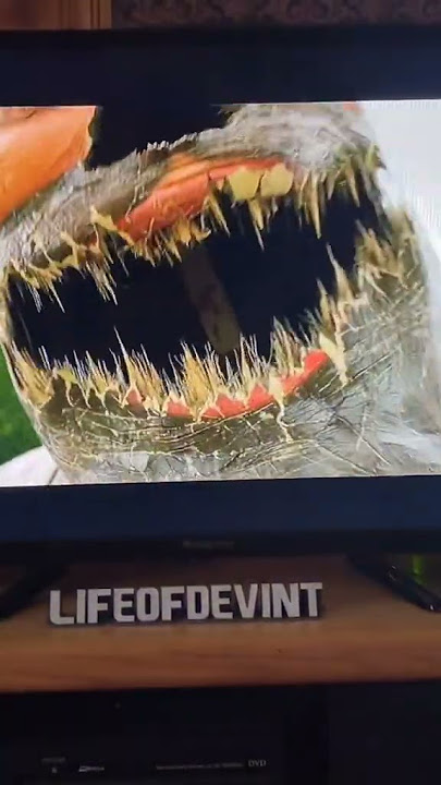 Stephen King was the reason this scene was in IT CHAPTER 2