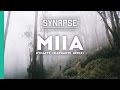 MIIA - Dynasty (Elephante Remix) [Free]