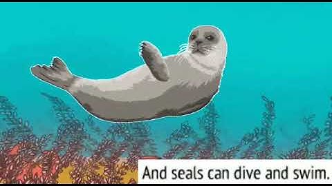 MLZS JHANSI CLASS 3 English Literature Unit 10 Poem 10 How Creatures Move Lecture 1