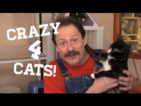 Vídeo: Pet Scoop: Campeonato de Saltos de Coelho, D.C. Zoológico Funcionário Encontrado Culpado de Cat Envenenamento