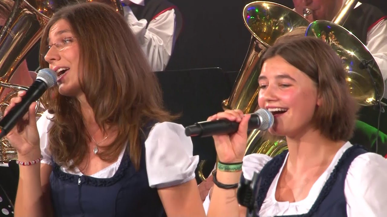 Směs polek Jaromira Vejvodý *40. Jubilej*