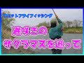 フライ編【ウェットフライフィッシング6】遅咲きのサクラマスを追って