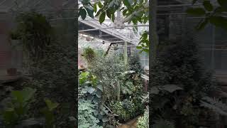 England. Belfast. Northern Ireland. November 2023. Botanical Garden. Traveling