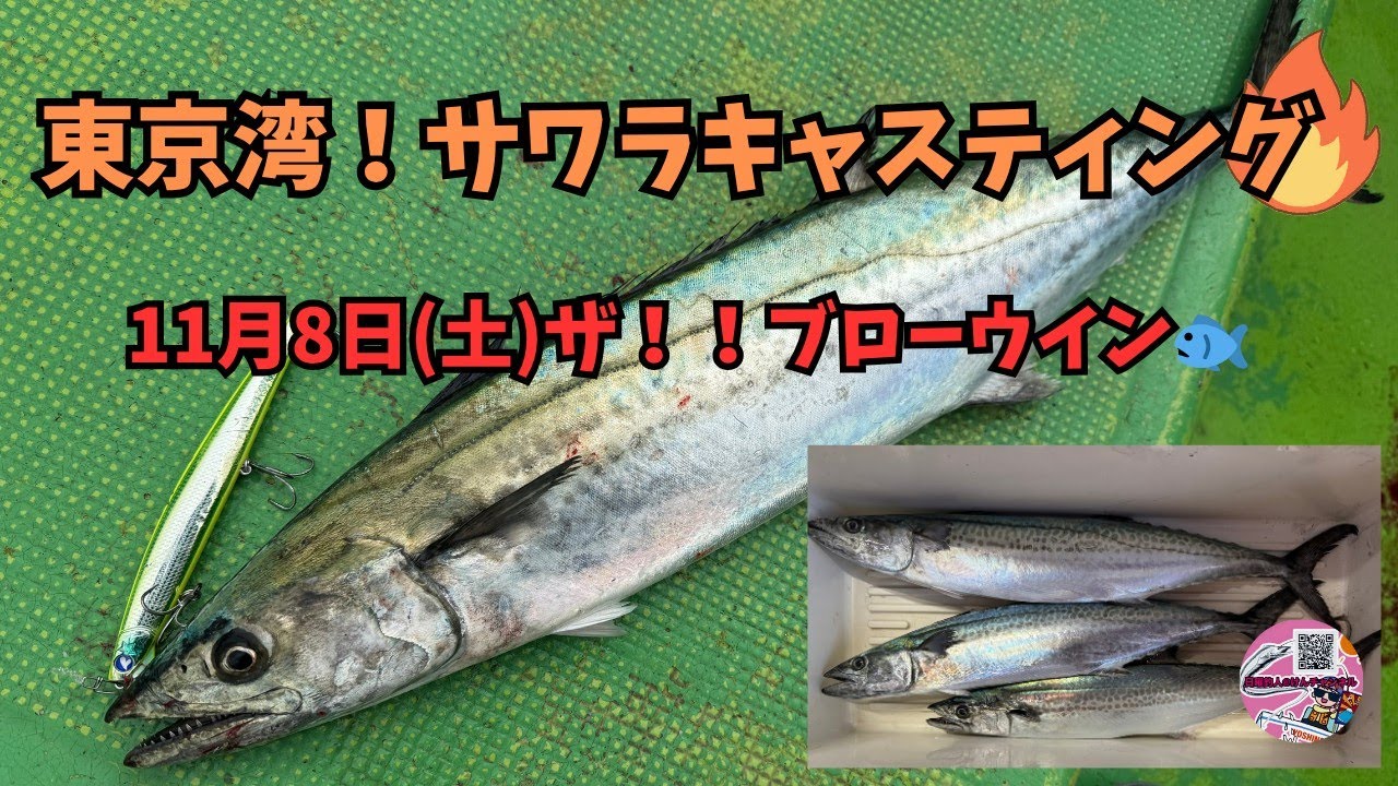 東京湾サワラキャスティング☆11月8日(土)ザ！！ブローウイン