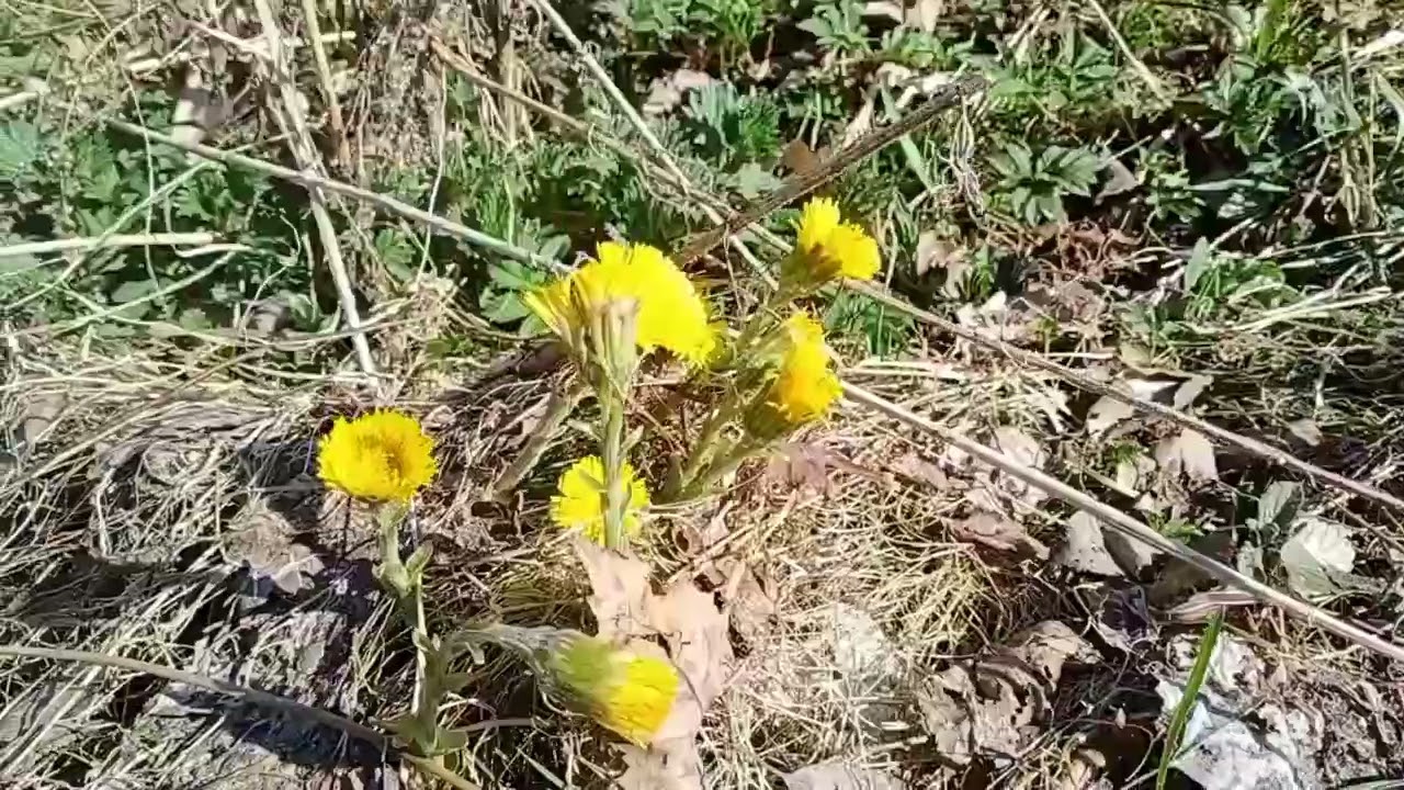Конец апреля 2022. Трава припорошенная снегом. Фотографии дождя в городе. Конец апреля 2022. Конец апреля 2022.