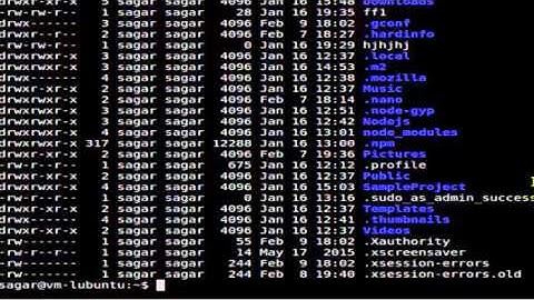 How to display contents of file in Linux Shell terminal
