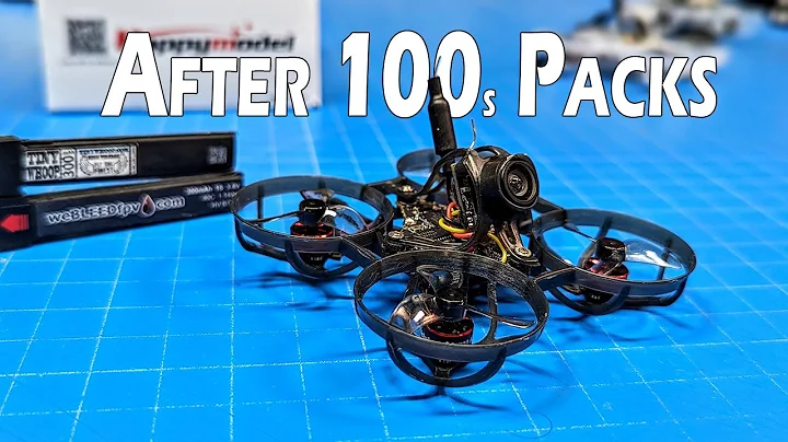 Mobula 6 2024 // New Learnings & CallOuts