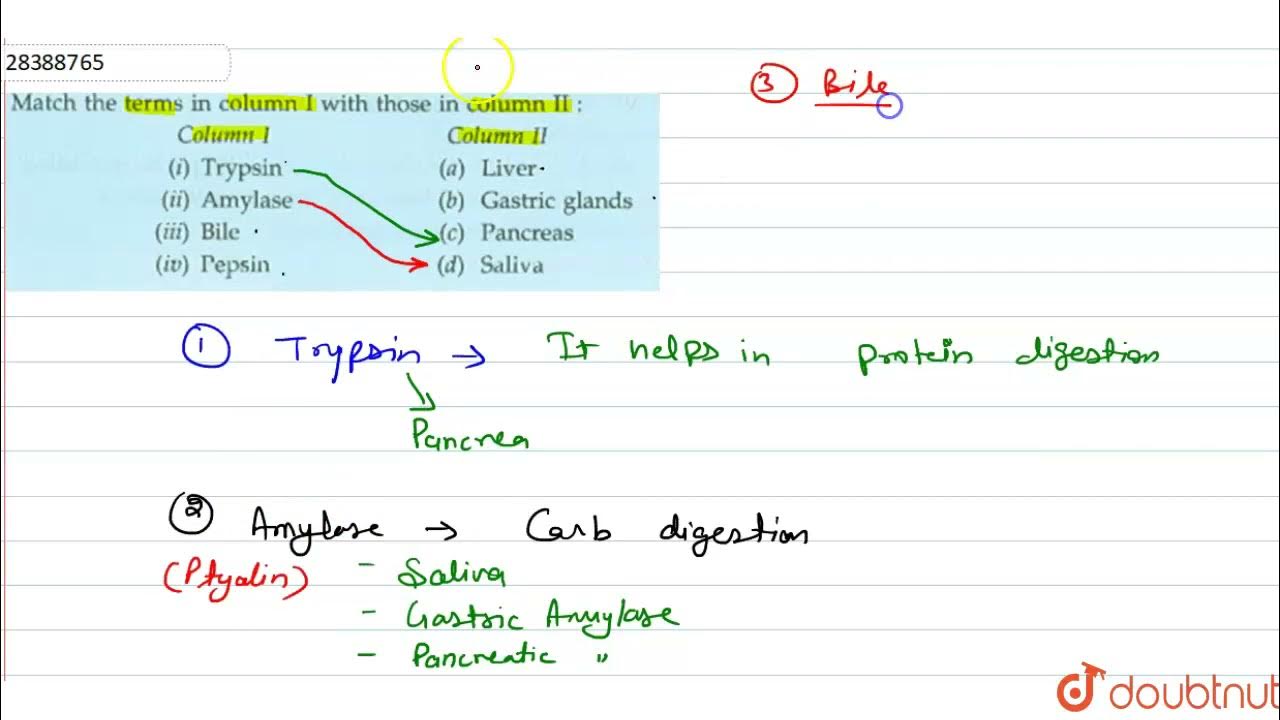 In terms of given the. In terms of given the
