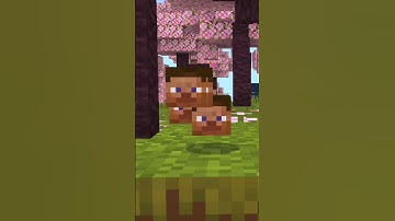 How To Get Steve Mob Head Naturally In Minecraft