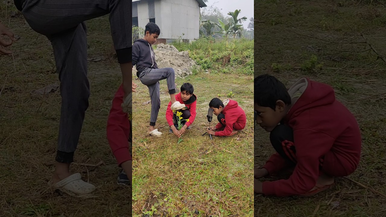 Creative ideas 💡✅💯💯 Amazing videography💯✅🇮🇳💡👍