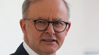 ‘Dreadful’: Bronwyn Bishop slams Albanese for dividing Australia with Voice to Parliament