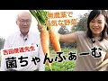 長崎県佐世保市にある「菌ちゃんふぁーむ」へ!虫がいない!無農薬畑 吉田俊道先生