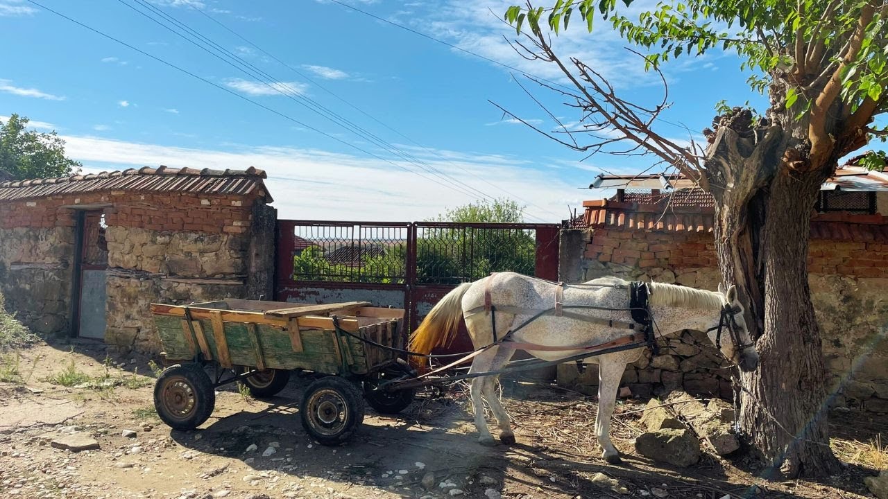 Сколько на самом деле стоят дома в самом бедном регионе Болгарии?