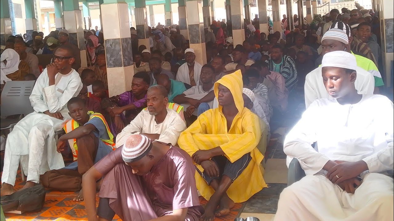 محاضرة التواصل الاجتماعي: مؤسسة سيلي تيميرا