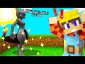 HO CATTURATO DARK MEWTWO LEGGENDARIO SULLA PIXELMON!!