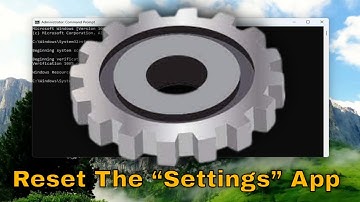 Reset The “Settings” App in Windows 11/10 [Guide]