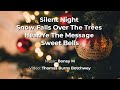 Miniature de la vidéo de la chanson Christmas Medley: Holy Night / Snow Falls Over The Ground / Hear Ye The Message