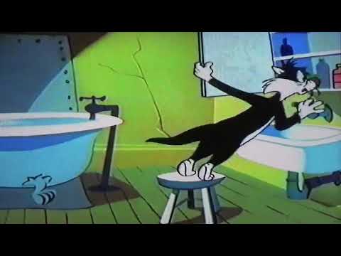 Sylvester S Breakdown Scene The Last Hungry Cat