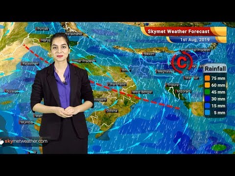 वीडियो: अगस्त टोरंटो में: मौसम और घटना गाइड