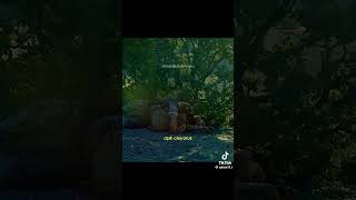 Whatsapp Durum Videoları Çirkin Olsan Bile