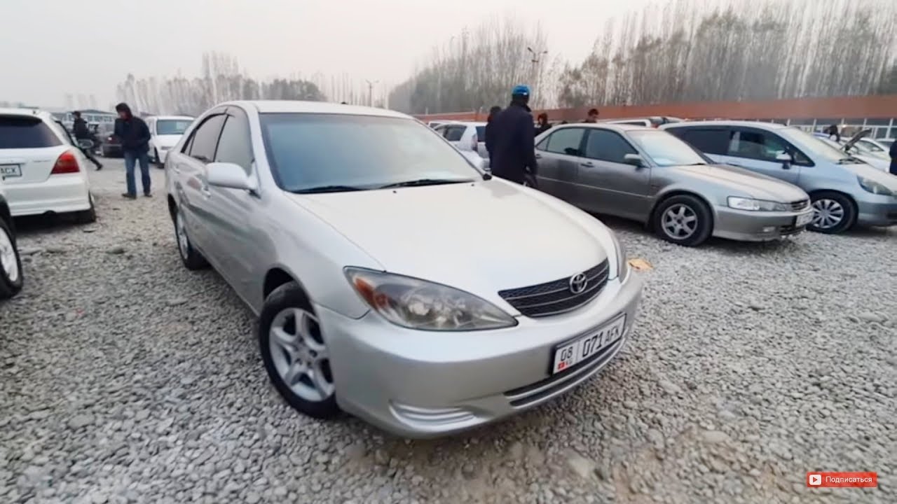 Авто степ ооо