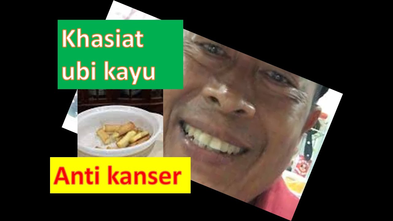 Khasiat Ubi Kayu Youtube