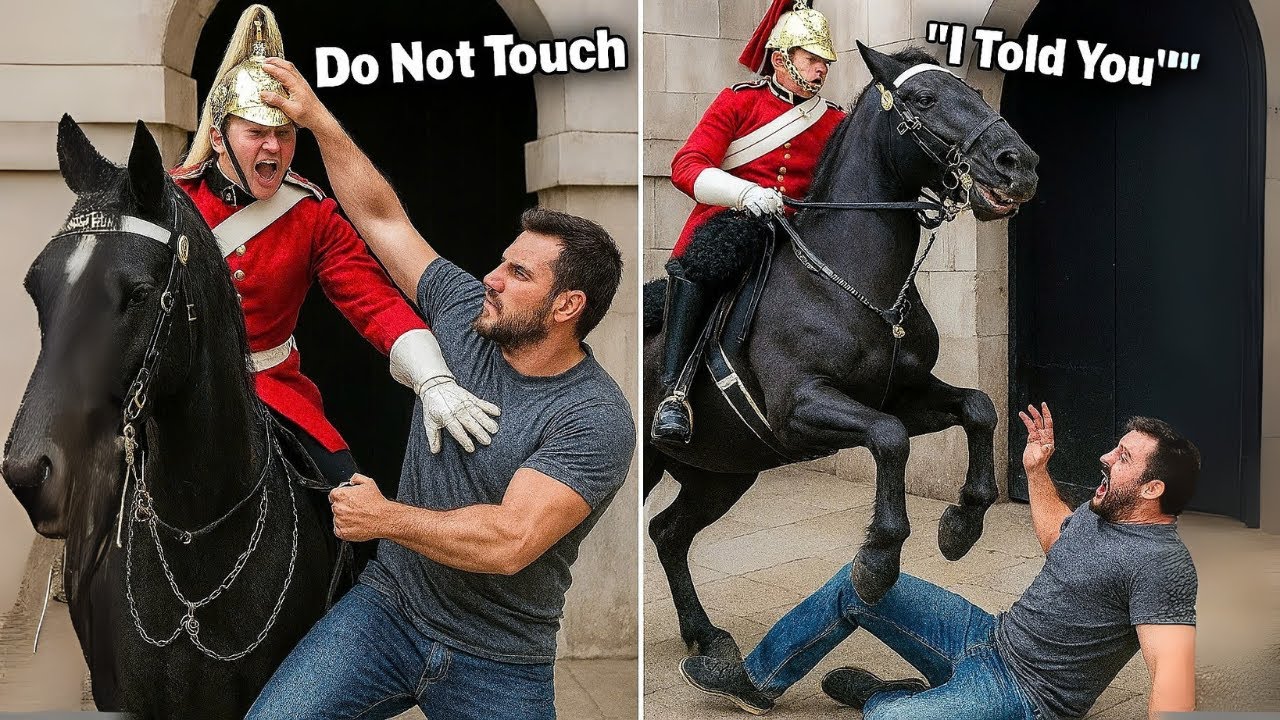 The Royal  Guard Wasn't Kidding… You Won't Believe What Happened Next! 😱