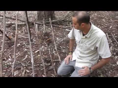 סדנת הישרדות - שלד מחסה A - נקודות חשובות ודגשים - מדריך הישרדות