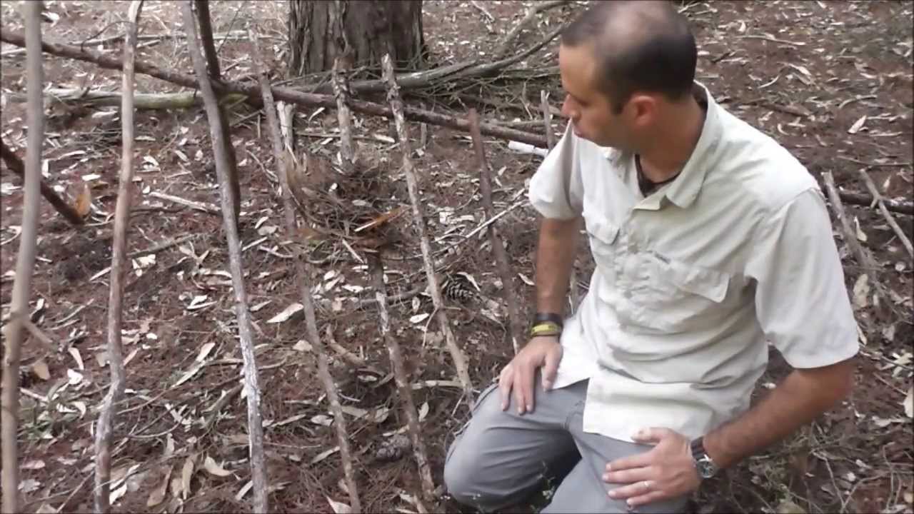 סדנת הישרדות - שלד מחסה A - נקודות חשובות ודגשים - מדריך הישרדות