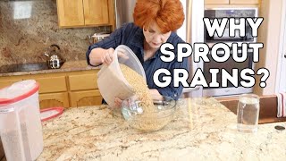 Why Sprout Grains?